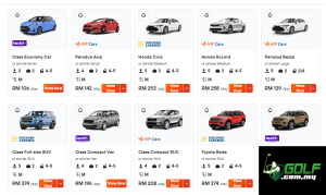 Car Rental companies